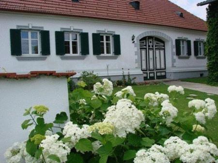 Hotel Arkadenhof Kurtz à Markt Allhau Extérieur photo